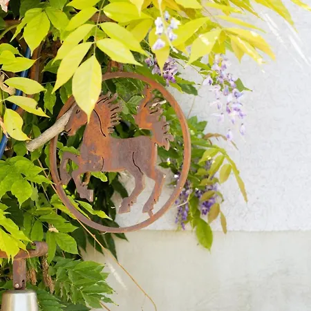 Du Mont Morschwiller