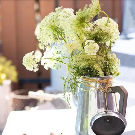 Penzion Du Mont Morschwiller