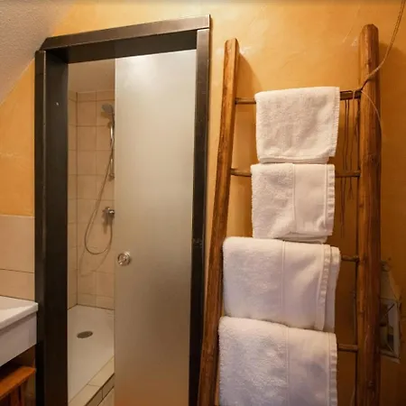 ゲストハウス Du Mont Morschwiller