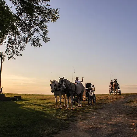 Du Mont ゲストハウス Morschwiller