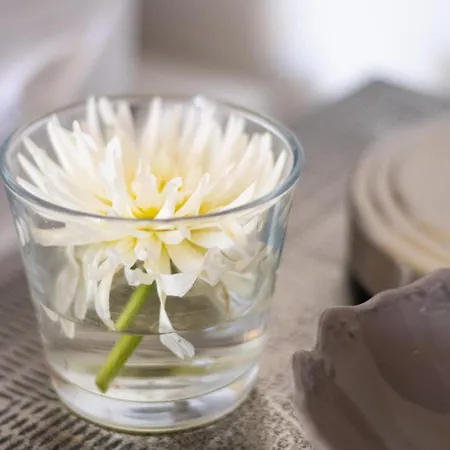 Du Mont 4* Morschwiller