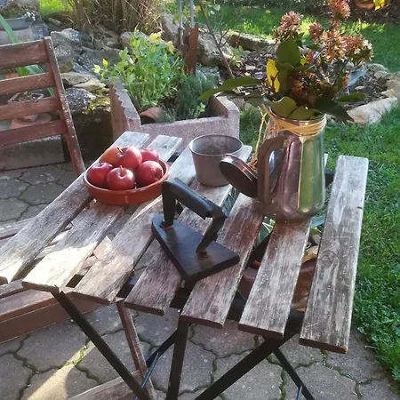 ゲストハウス Du Mont Morschwiller